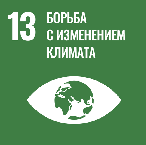 Цур 13.png