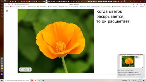 ммммм.jpg
