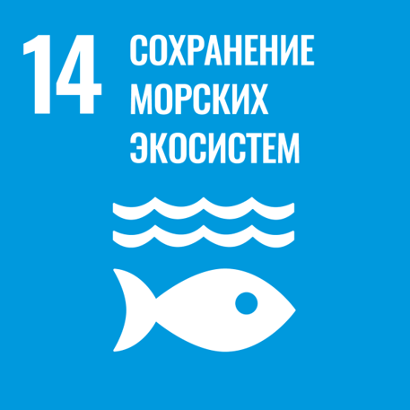 цур 14.png