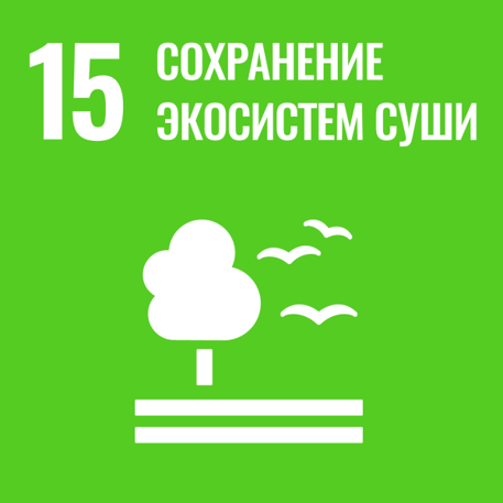 цур 15.png