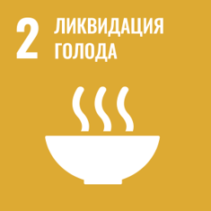 цур 2.png