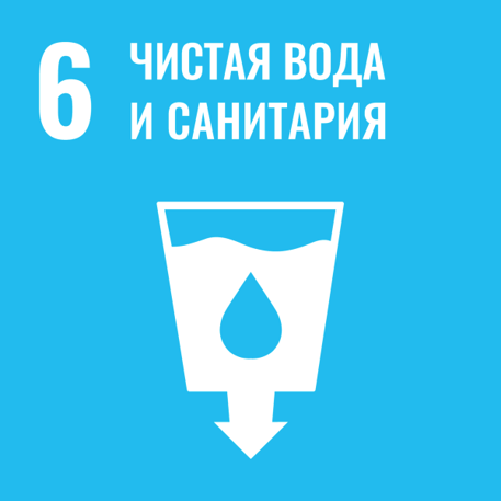 цур 6.png