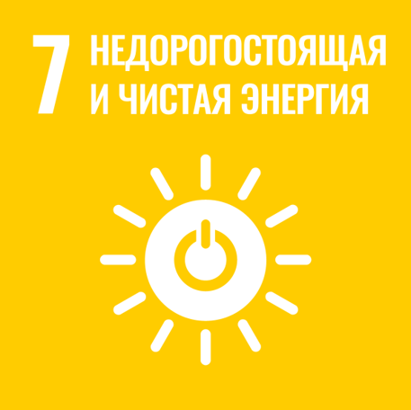 цур 7.png