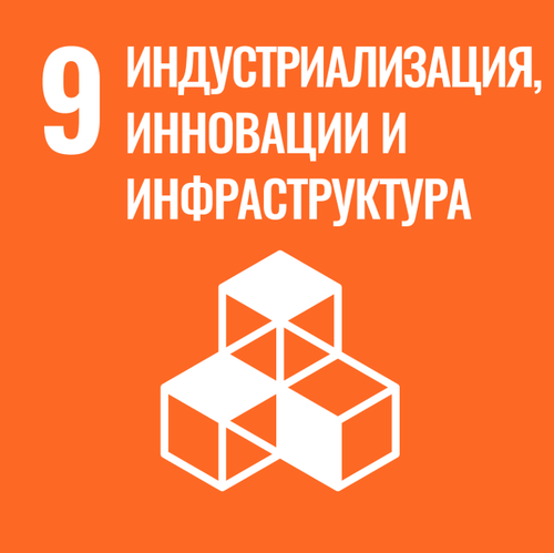 цур 9.png